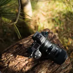 Nikon Z6 II test w plenerze. Aparat leży na pniu drzewa, otoczony zielenią i gałązkami sosny.