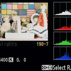 Histogram co to? Na ekranie aparatu: lalki, amerykańska flaga, paleta barw i wykresy RGB.
