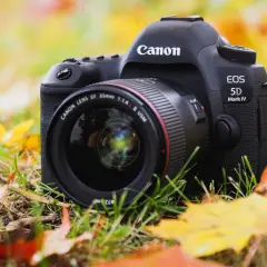 Profesjonalny aparat Canon EOS 5D Mark IV z obiektywem 35mm f/1.4 leży wśród jesiennych liści.