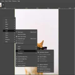 GIMP: menu Warstwa > Przezroczystość > Dodaj kanał alfa. Użyj tej opcji, aby uzyskać przezroczystość gimp.