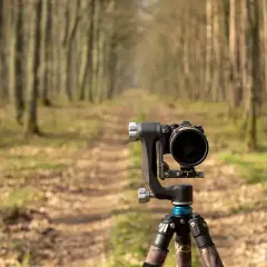 Profesjonalny aparat do fotografowania zwierząt na statywie, gotowy do uchwycenia dzikiej przyrody w lesie.