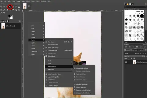GIMP: menu Warstwa > Przezroczystość > Dodaj kanał alfa. Użyj tej opcji, aby uzyskać przezroczystość gimp.