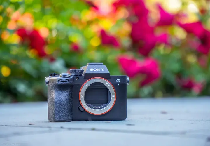 Sony a7 IV premiera. Czarny aparat bez obiektywu na tle rozmytych, kolorowych kwiatów.