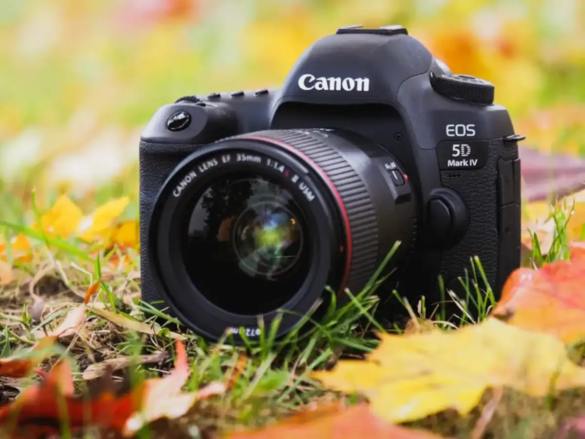 Aparaty Canon EOS - który model wybrać do swoich zdjęć?