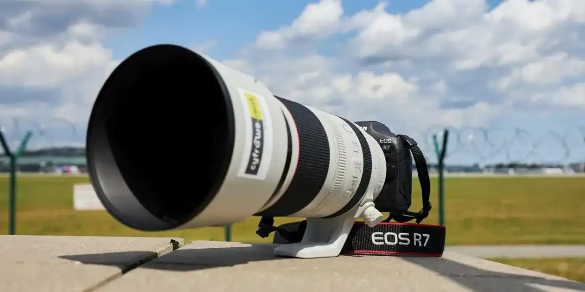 Canon EOS R7 po teście - czy warto do ptaków i sportu?