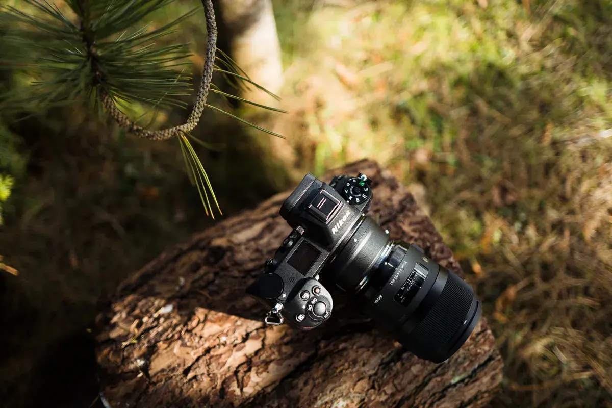 Nikon Z6 II test w plenerze. Aparat leży na pniu drzewa, otoczony zielenią i gałązkami sosny.