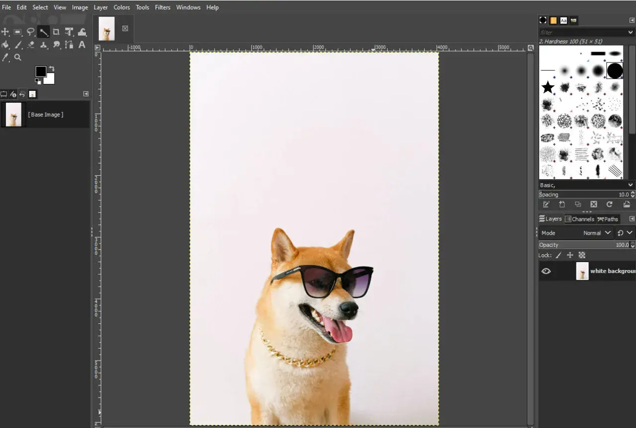 Shiba Inu w okularach i złotym łańcuchu, gotowy do nauki, jak usunąć tło w GIMP.