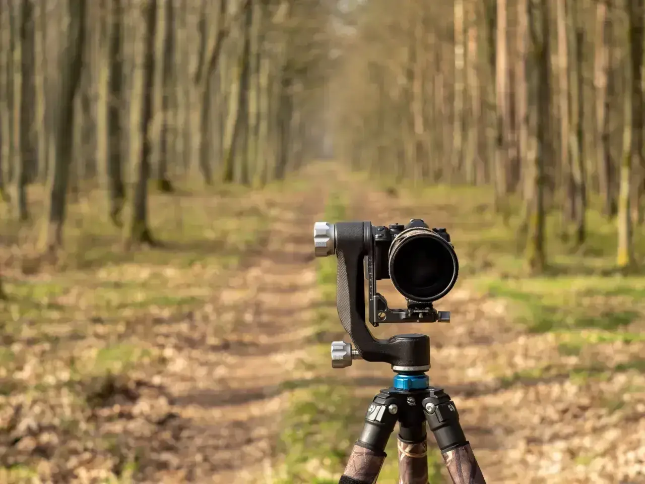 Profesjonalny aparat do fotografowania zwierząt na statywie, gotowy do uchwycenia dzikiej przyrody w lesie.