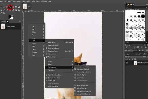 GIMP: menu Warstwa > Przezroczystość > Dodaj kanał alfa. Użyj tej opcji, aby uzyskać przezroczystość gimp.