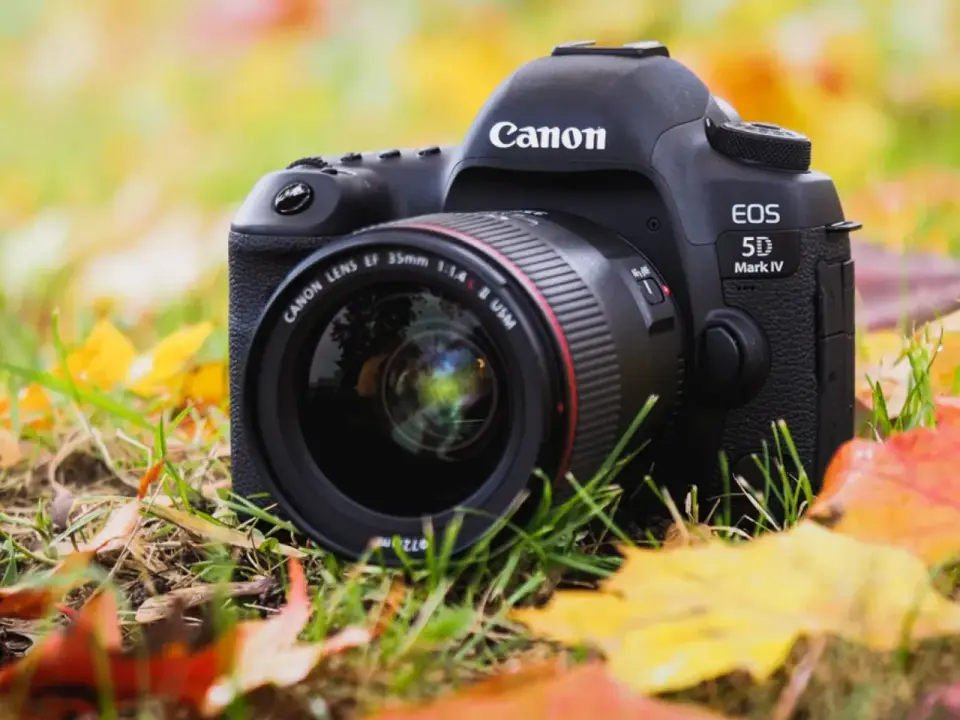 Aparaty Canon EOS - który model wybrać do swoich zdjęć?