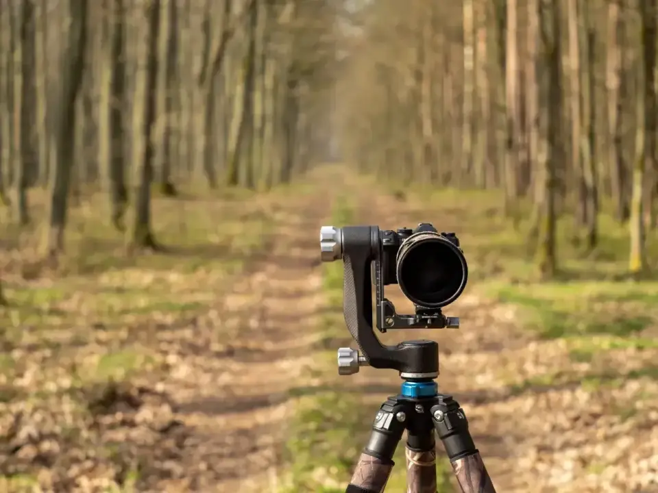 Jaki aparat do fotografowania zwierząt wybrać?
